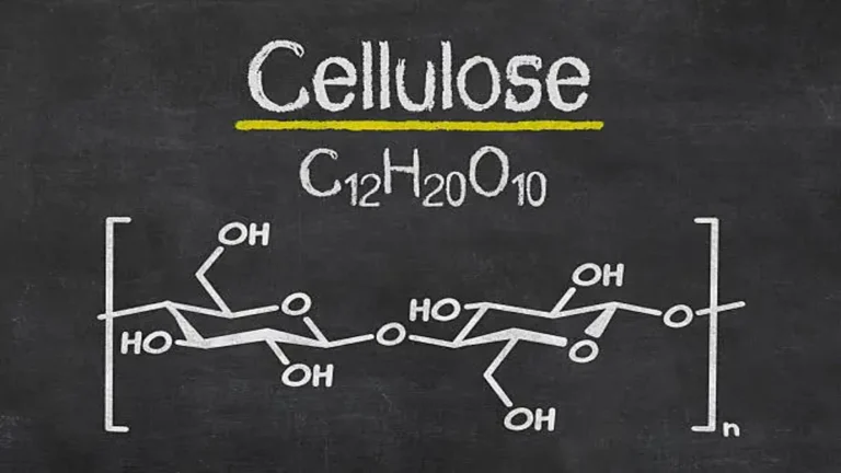 Cellulysis: Understanding Its Meaning, Mechanisms, and Modern Applications