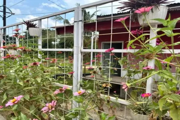 floricltr aqui pertinho