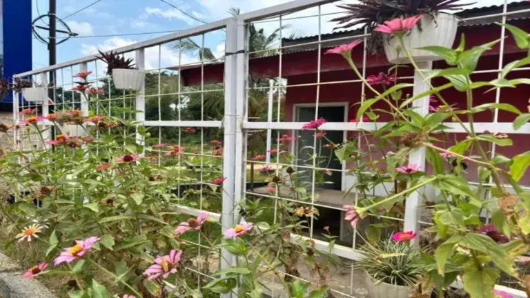 floricltr aqui pertinho