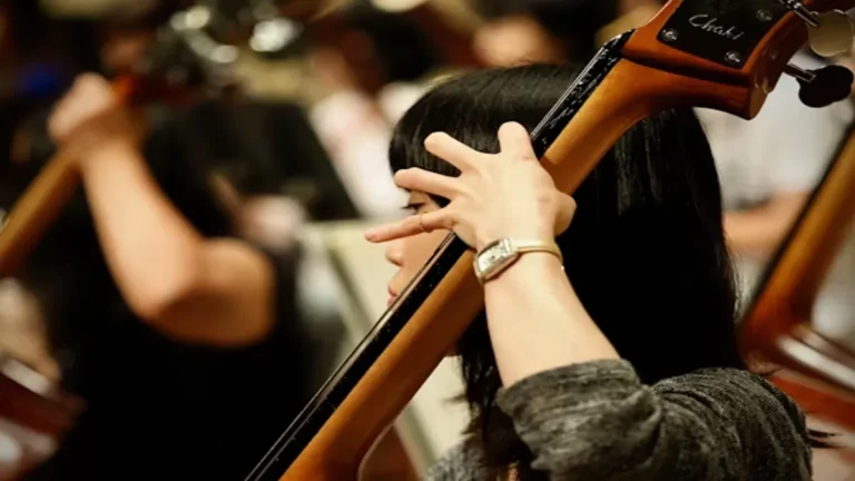 steve hoffman music forums