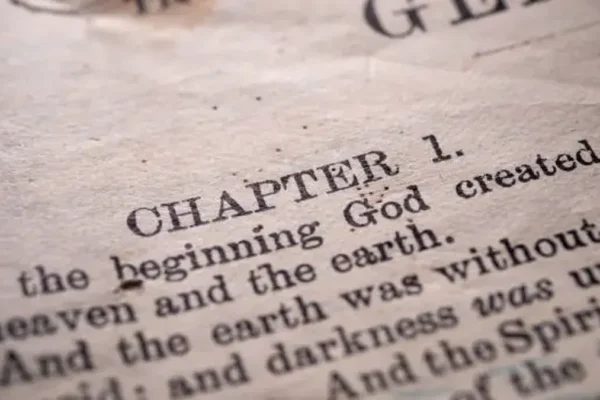 white chapter