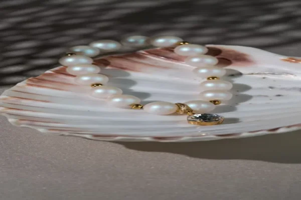 puka shell necklace