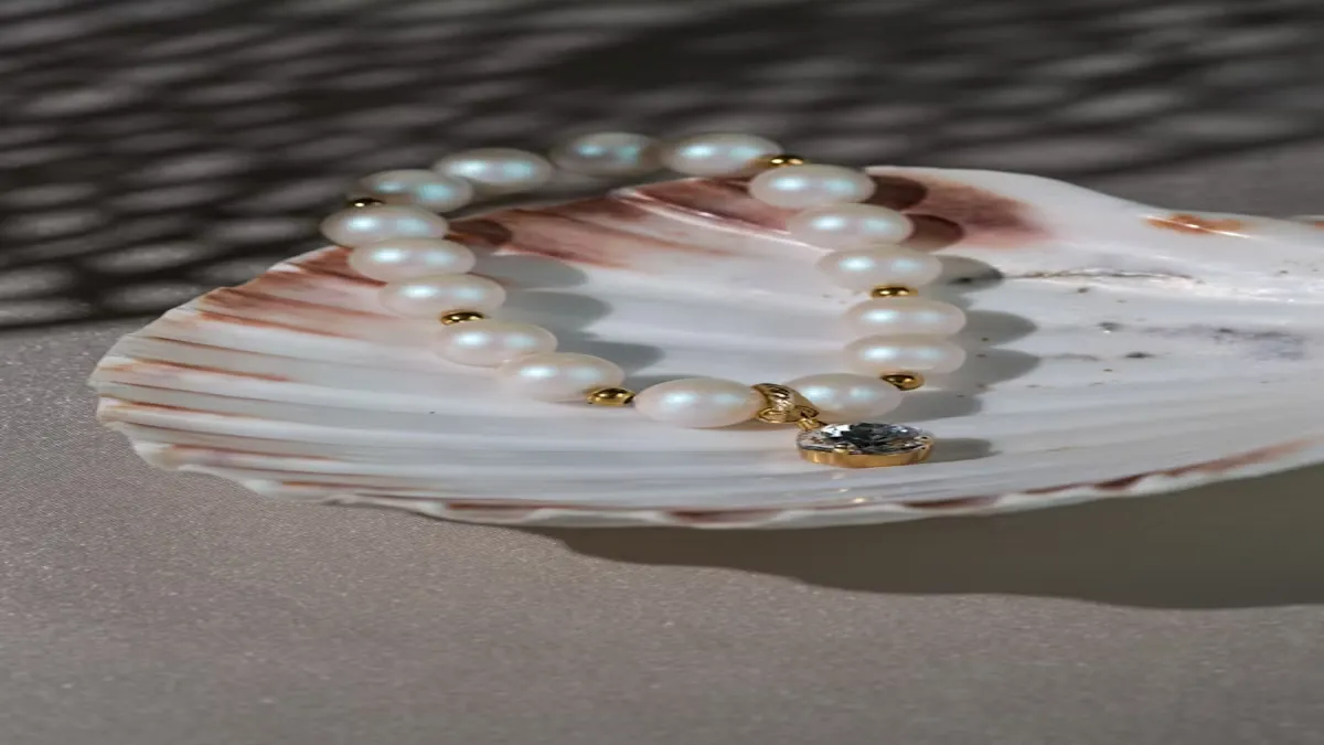 puka shell necklace