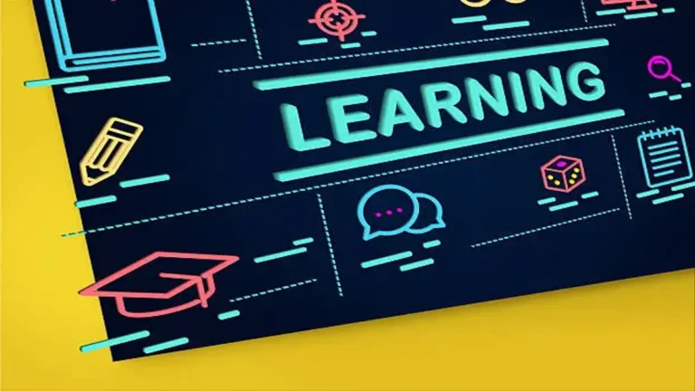 zealstudy lesson plan