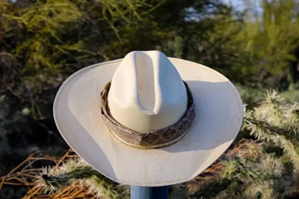 Shop Disco Cowboy Hat