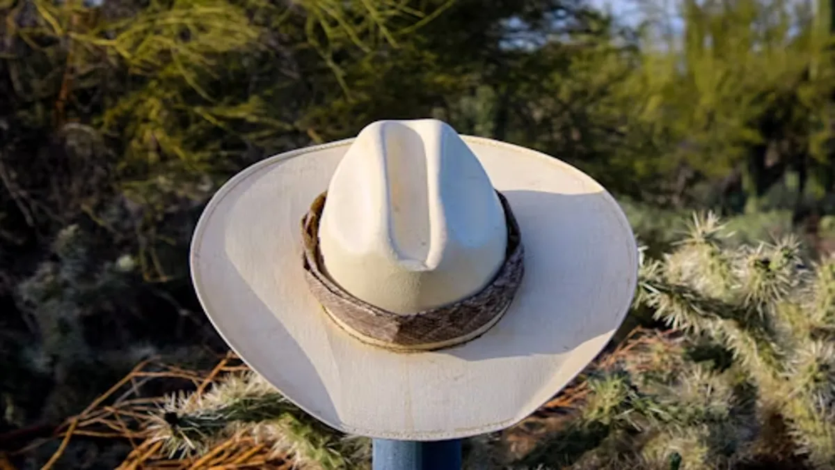 Shop Disco Cowboy Hat