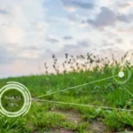 According to the Rules of Osmosis a System Will Seek Balance Acr