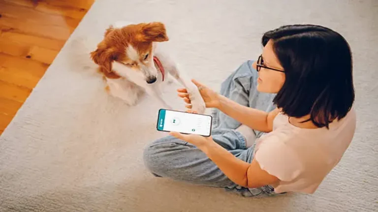 WoofApps Review: How a Smart Pet Care Platform is Revolutionizing the Way We Love and Manage Our Pets
