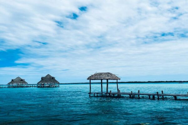 Bacalar